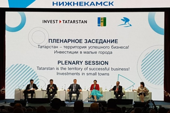 ПРОФИ изучили вопросы инвестиционной привлекательности Татарстана