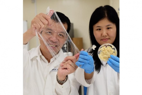 Сингапурский учёный разработал плёнку из биополимера на основе отходов сои