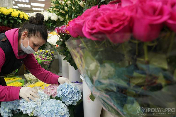 РЭО предложил отказаться от пластиковой упаковки для цветов