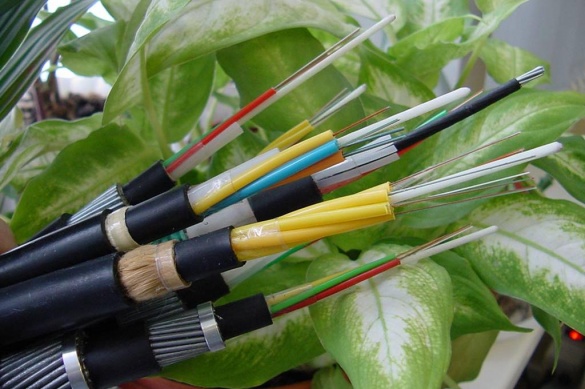 LG Chem расширяет линейку кабельных эластомеров