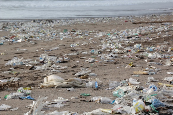 Панама ввела запрет на пластиковые пакеты