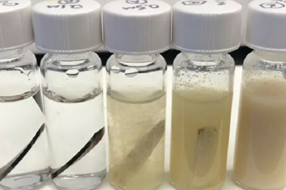 Учёные открыли новую эру полимеров